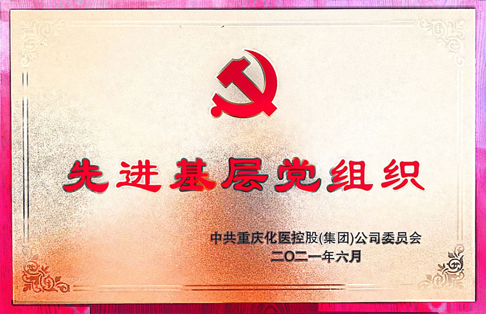 先進(jìn)基層黨組織（2021）
